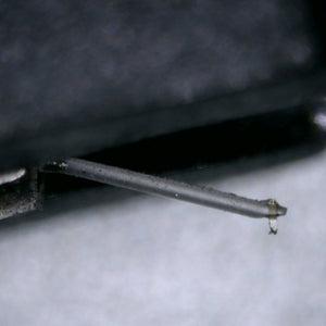 Close up of a used Ortofon Quintet Black S MC Cartridge showing stylus