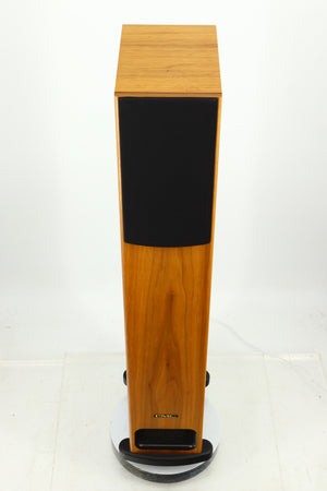 Top view of a PMC GB1 Floorstanding Speaker in a oak finish