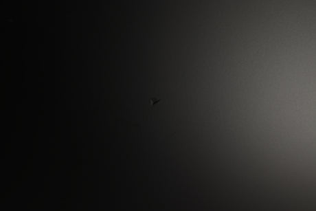 Close up of a used PMC Prodigy 1 Standmount Speakers in a black finish showing small indent