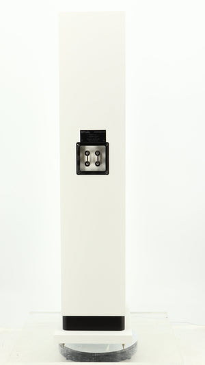 Rear view of a used Proac Response DT8 Floorstanding Speaker in a white finish