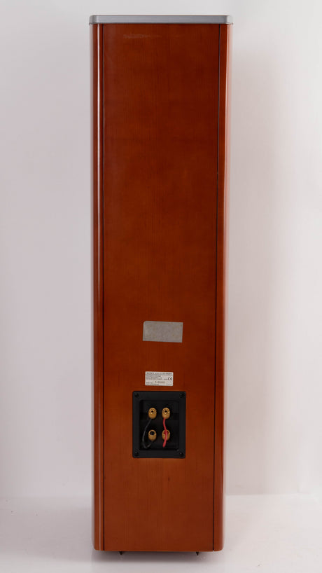 Rear view of a used Sony SS-X90ED Floorstanding Speaker in a Silver / Cherry finish