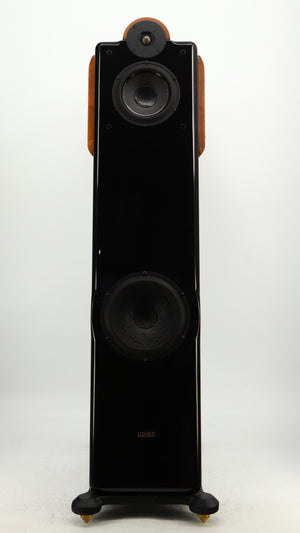 Front view of a used Usher CP-6381 Floorstanding Speakers in a gloss black finish