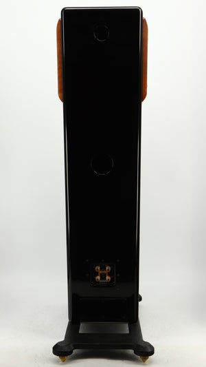 Rear view of a used Usher CP-6381 Floorstanding Speakers in a gloss black finish