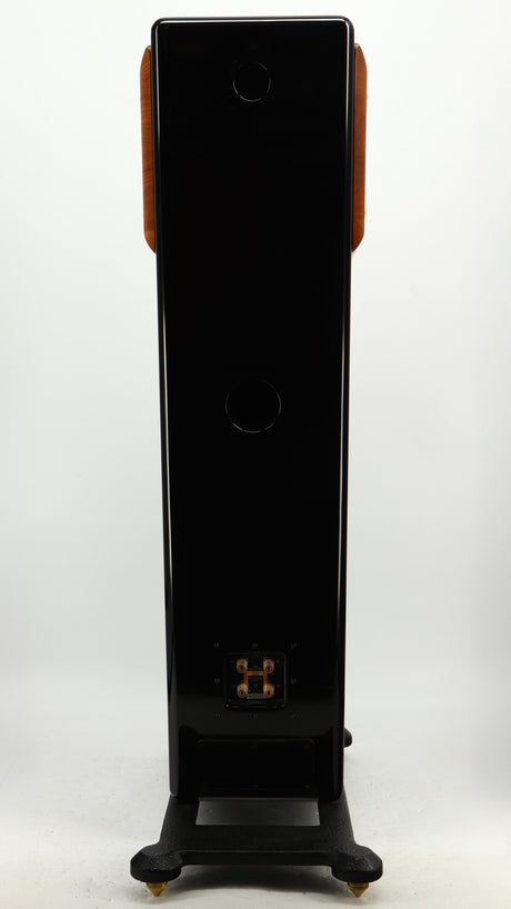 Rear view of a used Usher CP-6381 Floorstanding Speakers in a gloss black finish