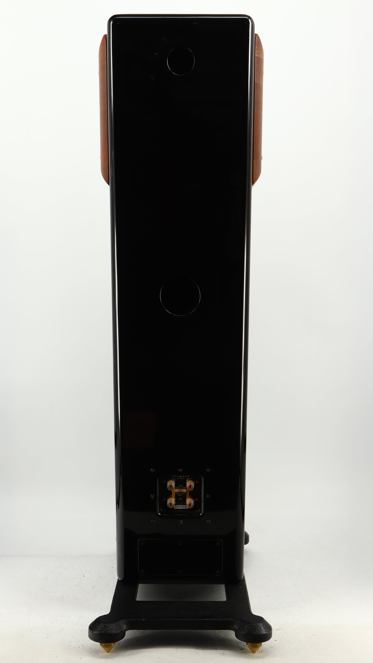 Rear view of a used Usher CP-6381 Floorstanding Speakers in a gloss black finish