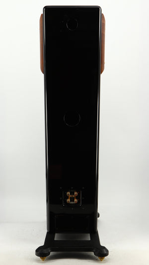 Rear view of a used Usher CP-6381 Floorstanding Speakers in a gloss black finish
