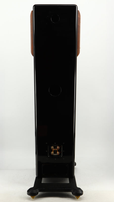 Rear view of a used Usher CP-6381 Floorstanding Speakers in a gloss black finish