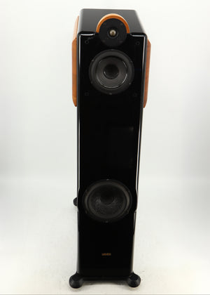 Top of a used Usher CP-6381 Floorstanding Speakers in a gloss black finish