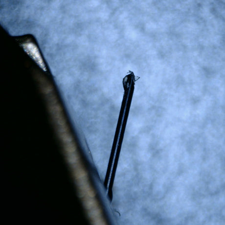 Close up of a used VPI Shyla MC Cartridge showing stylus