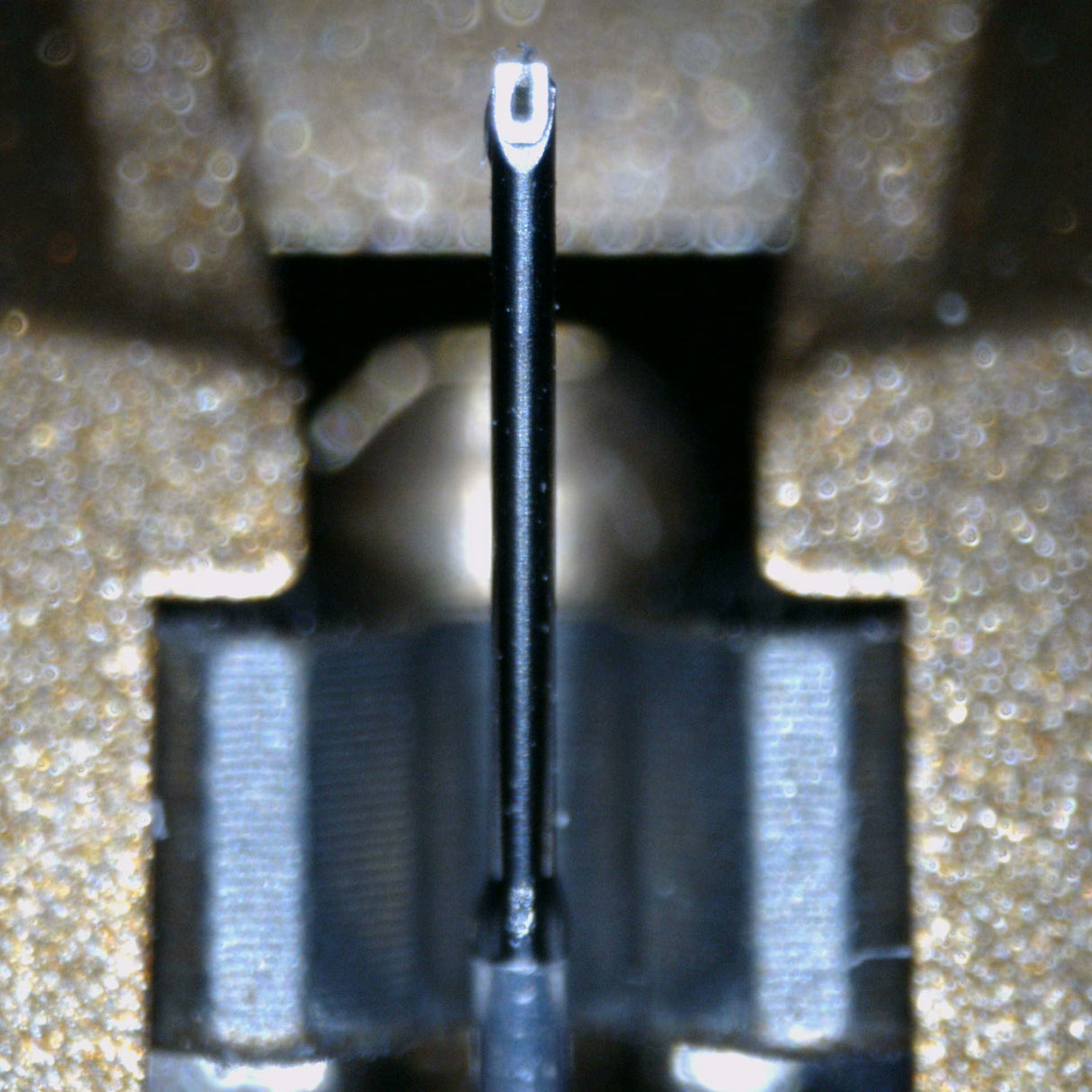 Close up of a used VPI Shyla MC Cartridge showing stylus