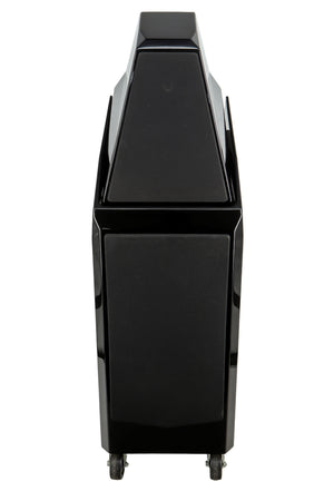 Wilson Audio Sasha W/P Floorstanding Speakers - Black