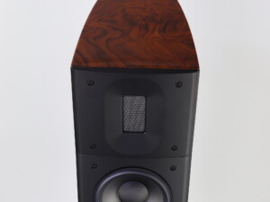 Raidho D-2.1 Loudspeakers - High Gloss Walnut - Image 6