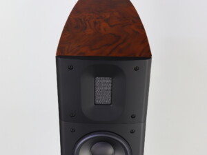 Raidho D-2.1 Loudspeakers - High Gloss Walnut - Image 11