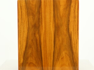 Acoustic Energy AE1 Signature Standmount Speakers - Rosewood - Image 3