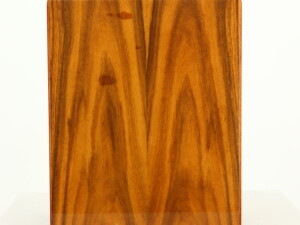 Acoustic Energy AE1 Signature Standmount Speakers - Rosewood - Image 5