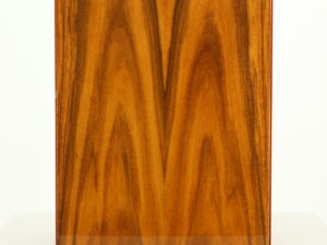 Acoustic Energy AE1 Signature Standmount Speakers - Rosewood - Image 9