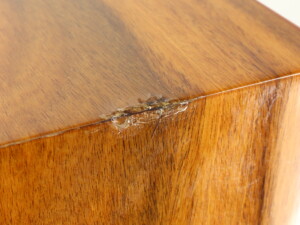 Acoustic Energy AE1 Signature Standmount Speakers - Rosewood - Image 12