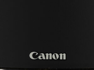 Canon S50 Standmount Speakers Inc. Stands - Black - Image 12