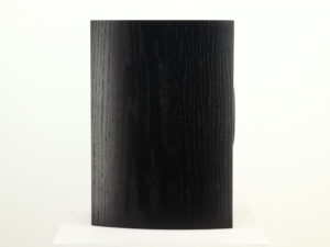 ATC SCM19 Standmount Speakers - Black Ash - Image 10