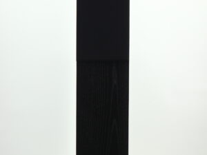 Proac D20R Floorstanding Speakers - Black Ash - Image 11