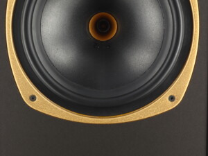 Tannoy DC-200 Standmount Speakers - Walnut - Image 13