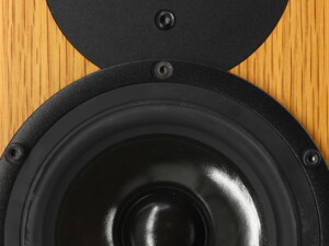 Kudos X2 Floorstanding Speakers - Oak - Image 12