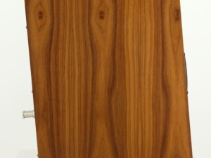 PMC Twenty5 22i Standmount Speakers - Walnut - Image 10