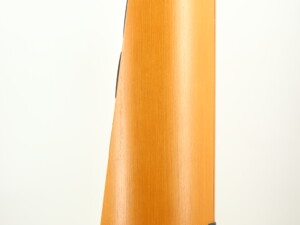 Focal Profile 918 Floorstanding Speakers - Light Oak - Image 9