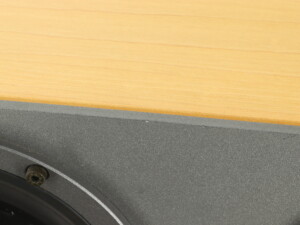 Dynaudio Contour S C Centre Speaker - Maple - Image 12