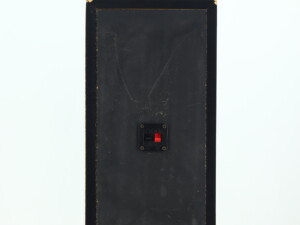Realistic S-100 3-Way Standmount Speakers - Black - Image 9