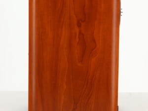 Celestion F10 Standmount Speakers - Cherry - Image 9