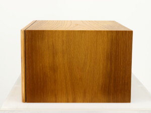 PMC TB2M Centre Speaker - Oak - Image 3