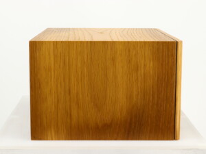 PMC TB2M Centre Speaker - Oak - Image 5