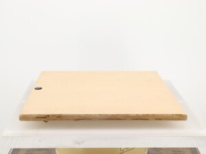 Oscar's Audio Isolation Platform - Image 3