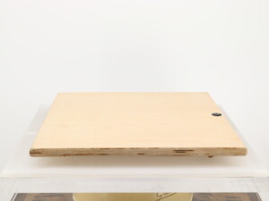 Oscar's Audio Isolation Platform - Image 5