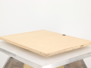 Oscar's Audio Isolation Platform - Image 9