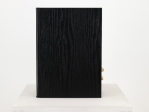 Monitor Audio Bronze 2 Standmount Speakers - Black Oak - Image 3
