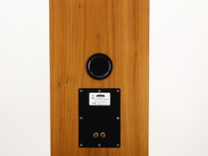 NEAT Iota Xplorer Floorstanding Speakers - American Walnut - Image 9