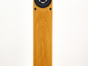 PMC GB1i Floorstanding Speakers - Oak