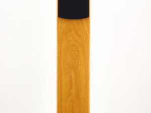 PMC GB1i Floorstanding Speakers - Oak - Image 6