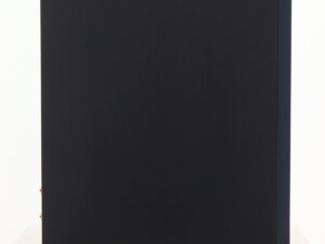 Monitor Audio Bronze 100 6G Standmount Speakers - Black - Image 11