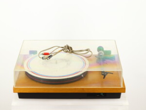 The Oak Turntable - Image 7