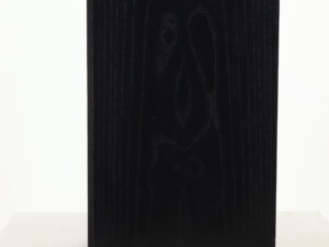 Royd Eden Standmount Speakers - Black Ash - Image 3