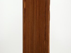 Dynaudio Focus 30 XD Active Floorstanding Speakers - High Gloss Walnut - Image 10