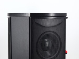 Martin Logan Descent I Active Subwoofer - Black - Image 7