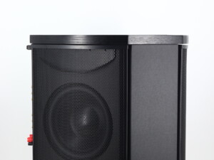 Martin Logan Descent I Active Subwoofer - Black - Image 8