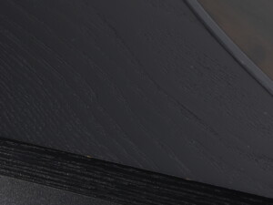 Martin Logan Descent I Active Subwoofer - Black - Image 10