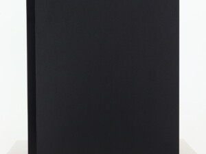 Dynaudio Emit 20 Standmount Speakers - Black - Image 3