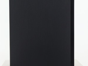 Dynaudio Emit 20 Standmount Speakers - Black - Image 5