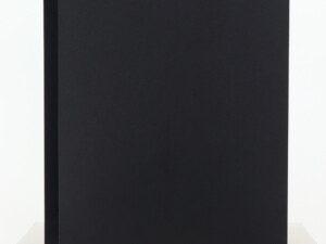 Dynaudio Emit 20 Standmount Speakers - Black - Image 8